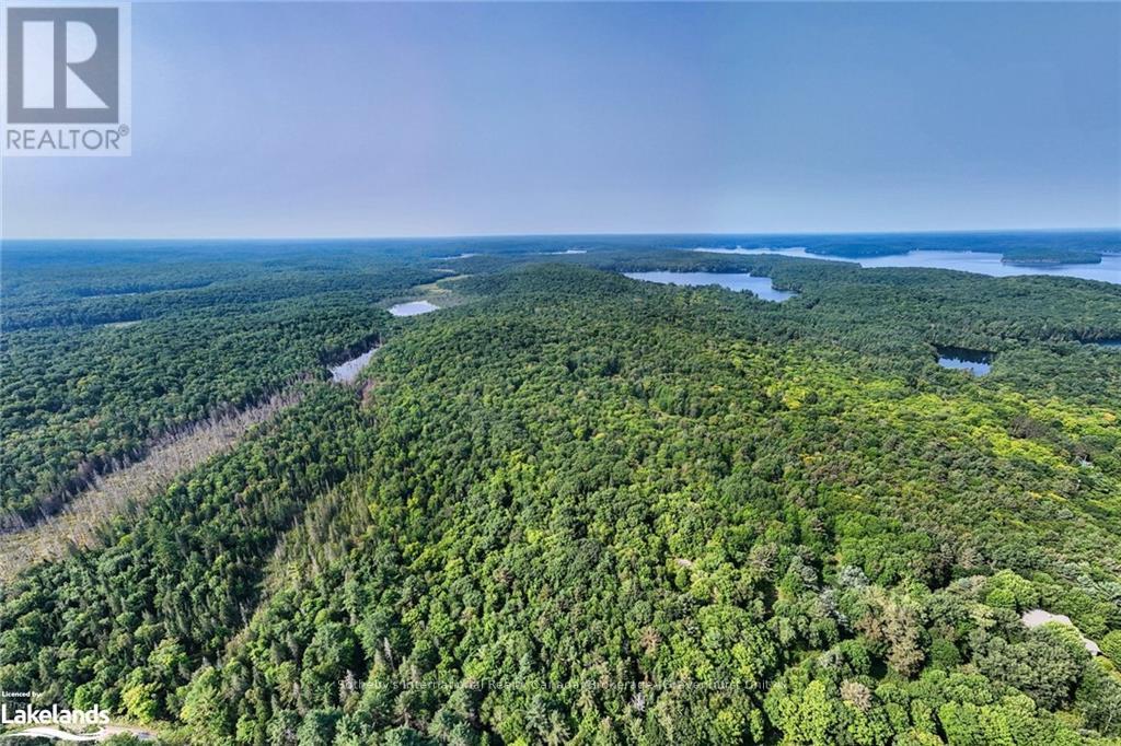 1045 Browns Brae Road, Lake Of Bays, Ontario  P0B 1A0 - Photo 12 - X10897996