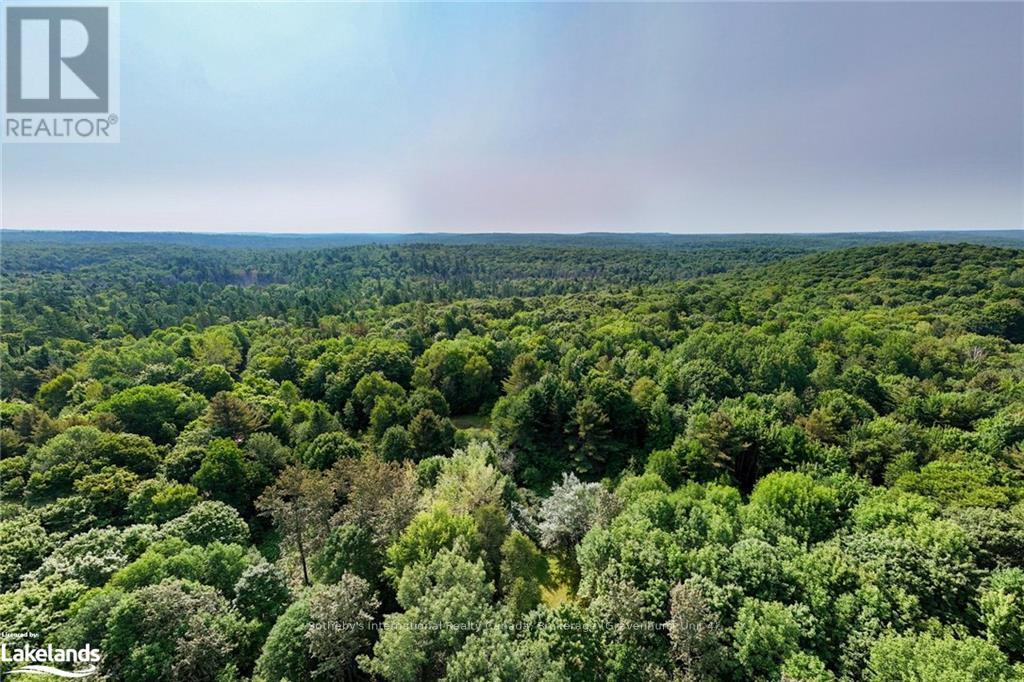 1045 Browns Brae Road, Lake Of Bays, Ontario  P0B 1A0 - Photo 15 - X10897996