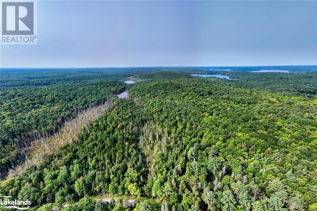 1045 Browns Brae Road, Lake Of Bays, Ontario  P0B 1A0 - Photo 5 - X10897996