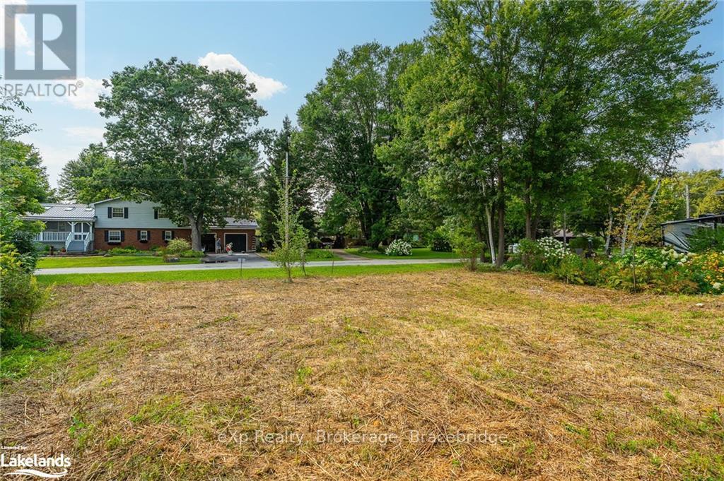 Lot 10 Anson Street, Minden Hills, Ontario  K0M 2K0 - Photo 2 - X10894991