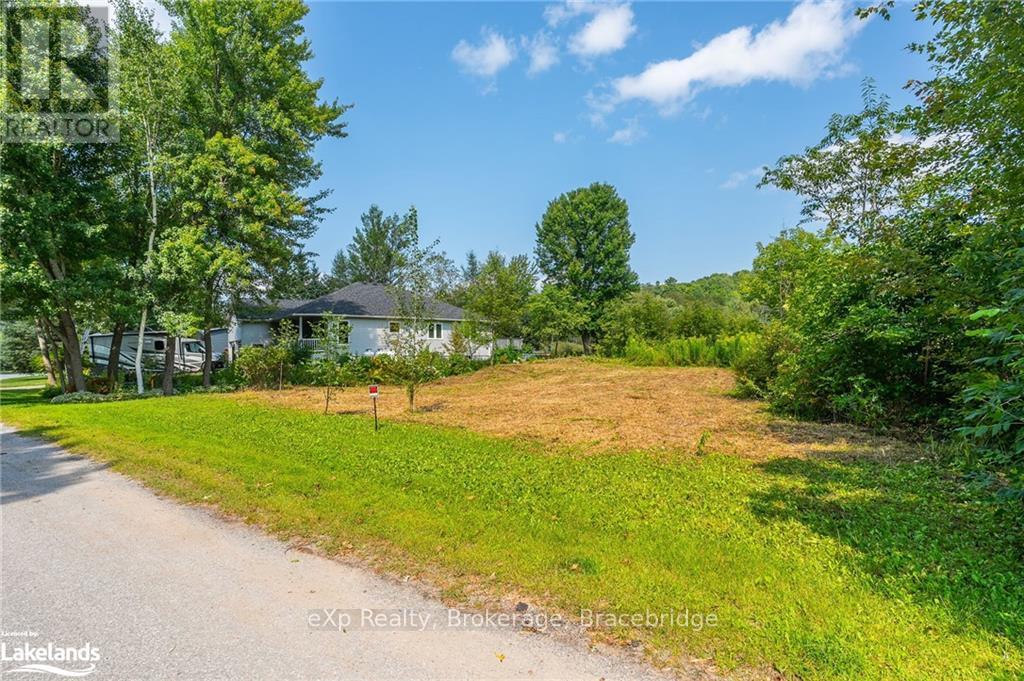 Lot 10 Anson Street, Minden Hills, Ontario  K0M 2K0 - Photo 4 - X10894991