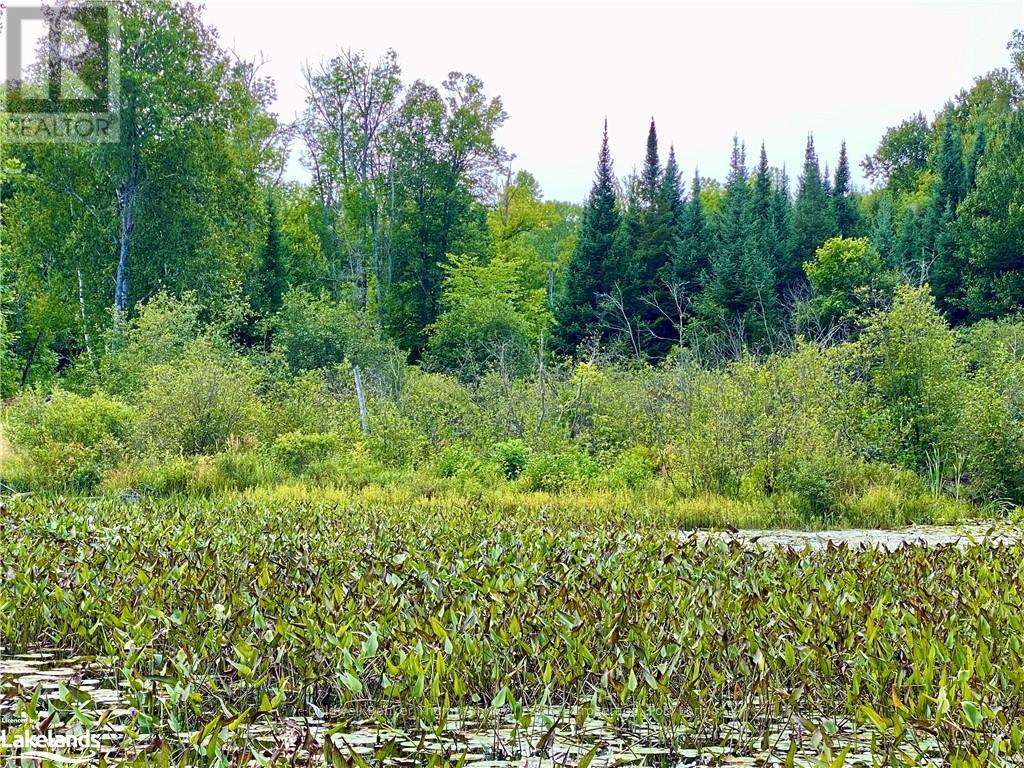 151 Maple Drive, Parry Sound Remote Area, Ontario  P0H 1S0 - Photo 10 - X10895290