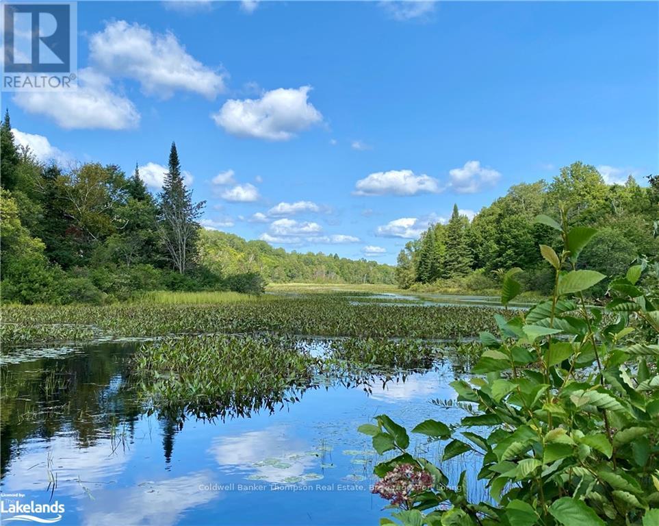151 Maple Drive, Parry Sound Remote Area, Ontario  P0H 1S0 - Photo 11 - X10895290