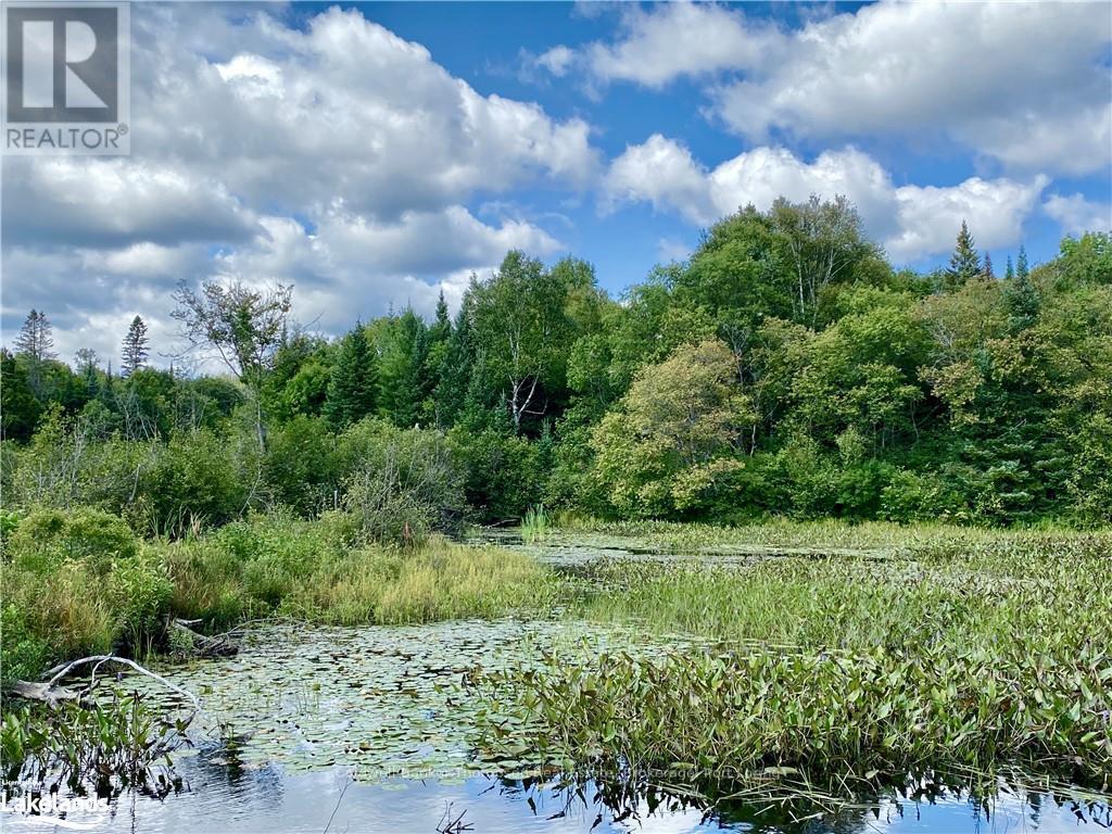 151 Maple Drive, Parry Sound Remote Area, Ontario  P0H 1S0 - Photo 14 - X10895290
