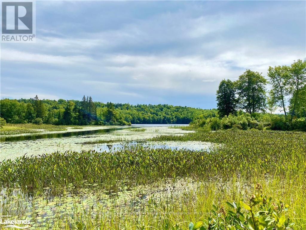 151 Maple Drive, Parry Sound Remote Area, Ontario  P0H 1S0 - Photo 19 - X10895290