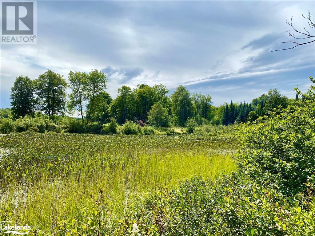151 Maple Drive, Parry Sound Remote Area, Ontario  P0H 1S0 - Photo 20 - X10895290
