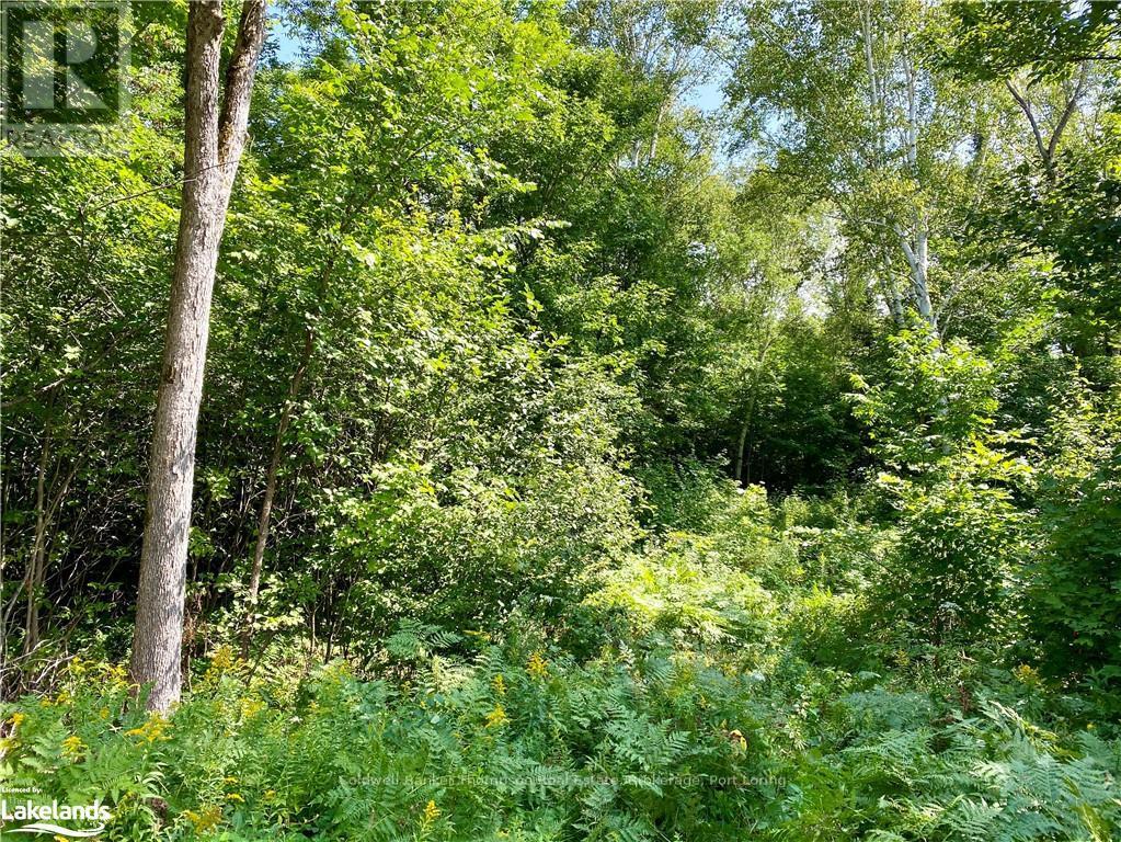 151 Maple Drive, Parry Sound Remote Area, Ontario  P0H 1S0 - Photo 23 - X10895290