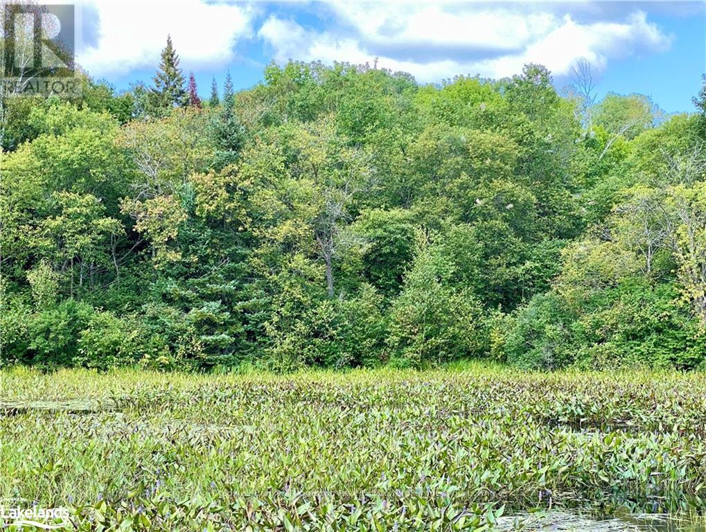 151 Maple Drive, Parry Sound Remote Area, Ontario  P0H 1S0 - Photo 24 - X10895290