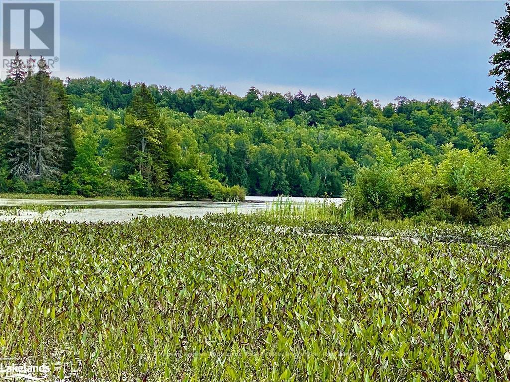151 Maple Drive, Parry Sound Remote Area, Ontario  P0H 1S0 - Photo 3 - X10895290