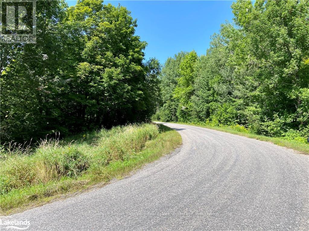 151 Maple Drive, Parry Sound Remote Area, Ontario  P0H 1S0 - Photo 4 - X10895290