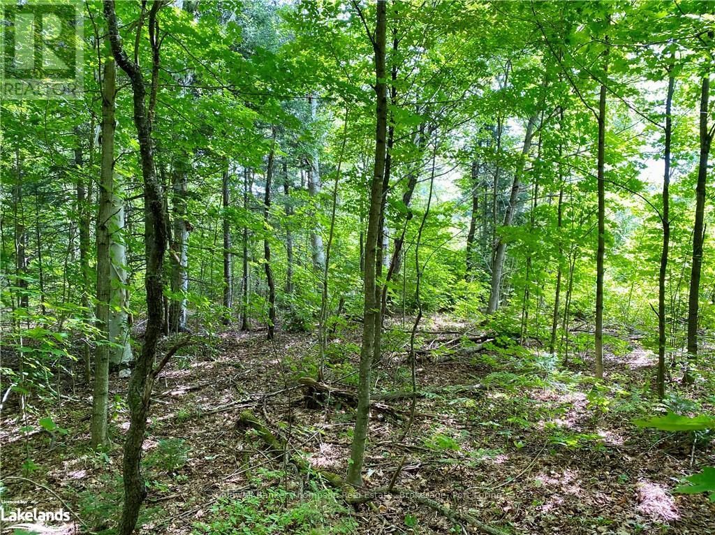 151 Maple Drive, Parry Sound Remote Area, Ontario  P0H 1S0 - Photo 6 - X10895290