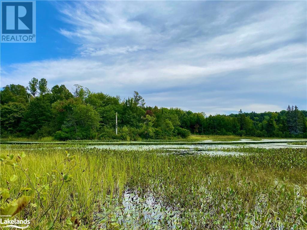 151 Maple Drive, Parry Sound Remote Area, Ontario  P0H 1S0 - Photo 8 - X10895290