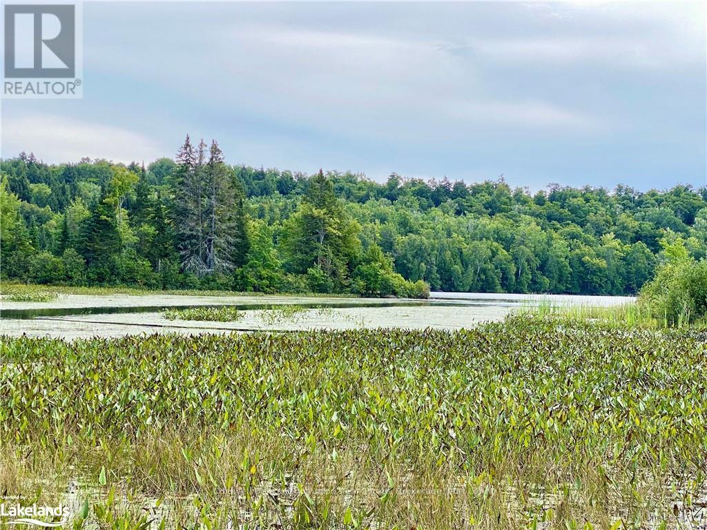 151 Maple Drive, Parry Sound Remote Area, Ontario  P0H 1S0 - Photo 9 - X10895290