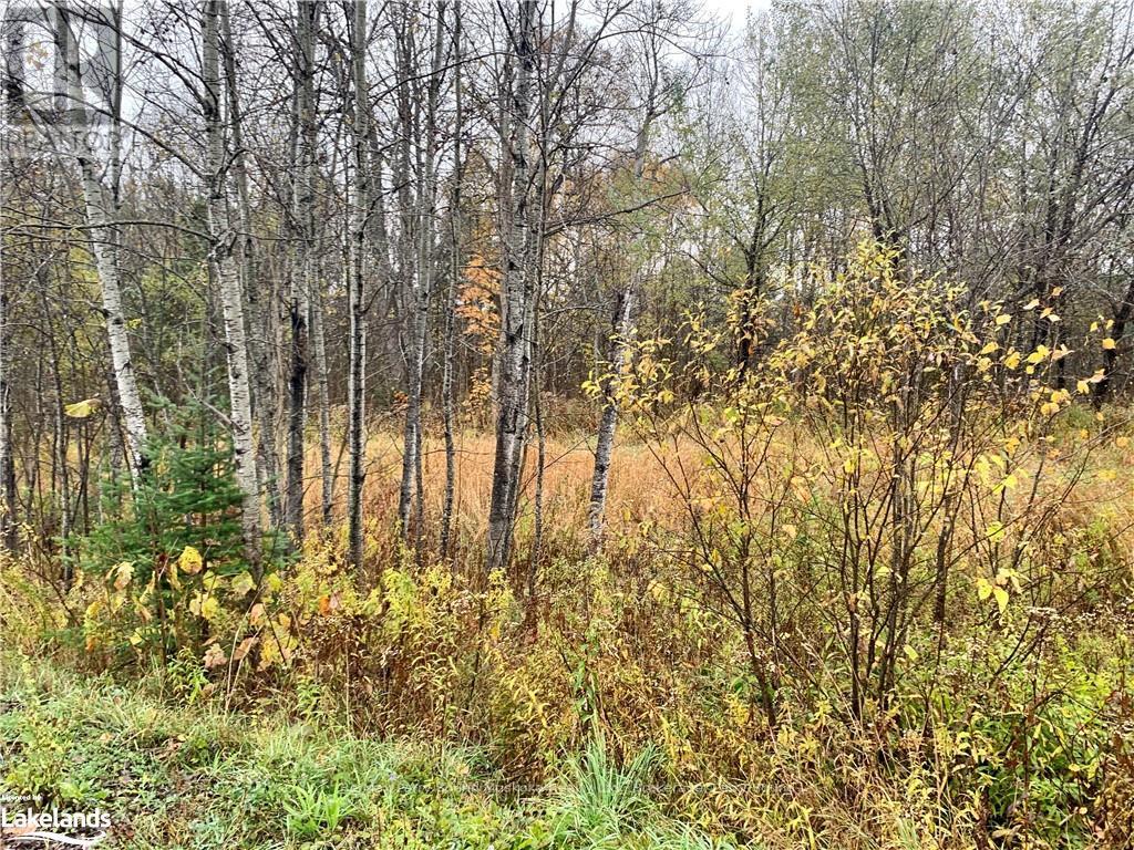 Lot 1 Moore Drive, Whitestone, Ontario  P0A 1G0 - Photo 3 - X10895391