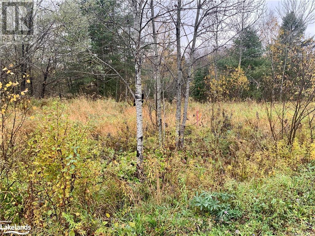 Lot 1 Moore Drive, Whitestone, Ontario  P0A 1G0 - Photo 4 - X10895391