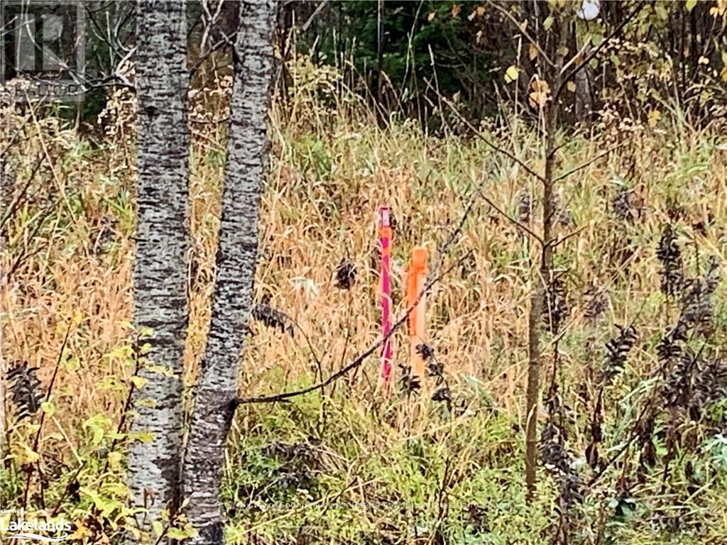 Lot 1 Moore Drive, Whitestone, Ontario  P0A 1G0 - Photo 5 - X10895391