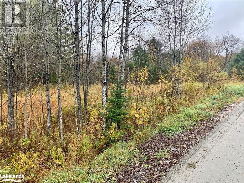 Lot 1 Moore Drive, Whitestone, Ontario  P0A 1G0 - Photo 8 - X10895391