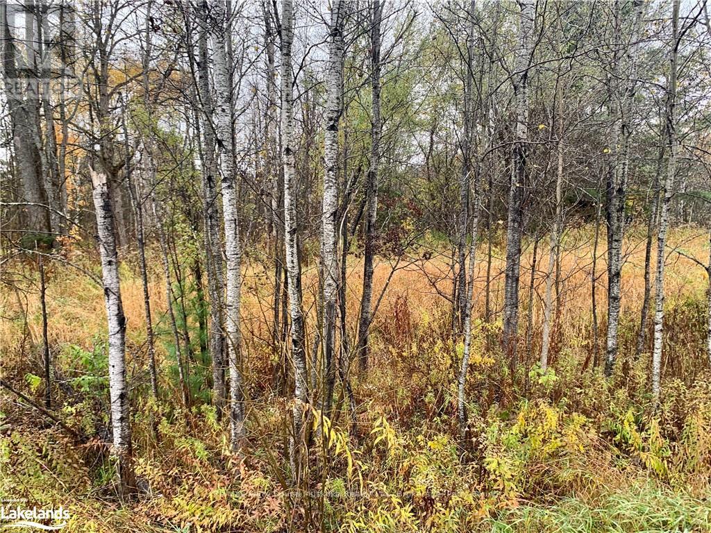 Lot 1 Moore Drive, Whitestone, Ontario  P0A 1G0 - Photo 9 - X10895391