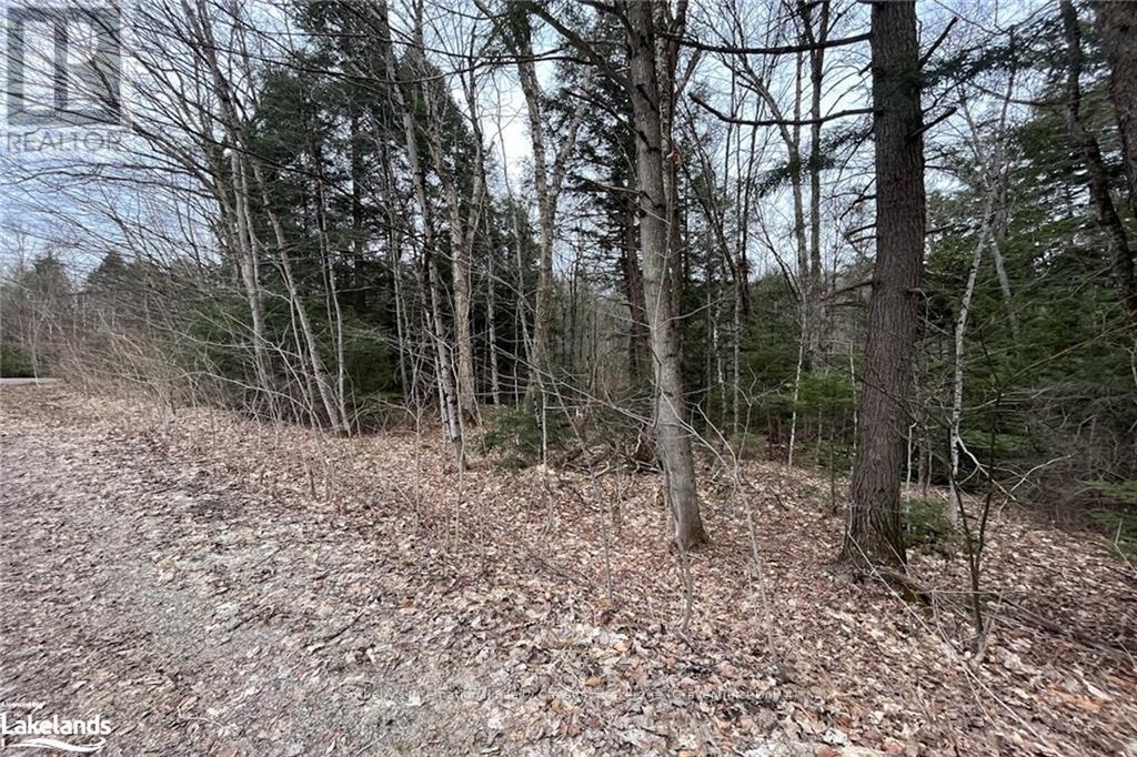 1031 Haven Road, Bracebridge, Ontario  P1L 1X1 - Photo 11 - X10895394