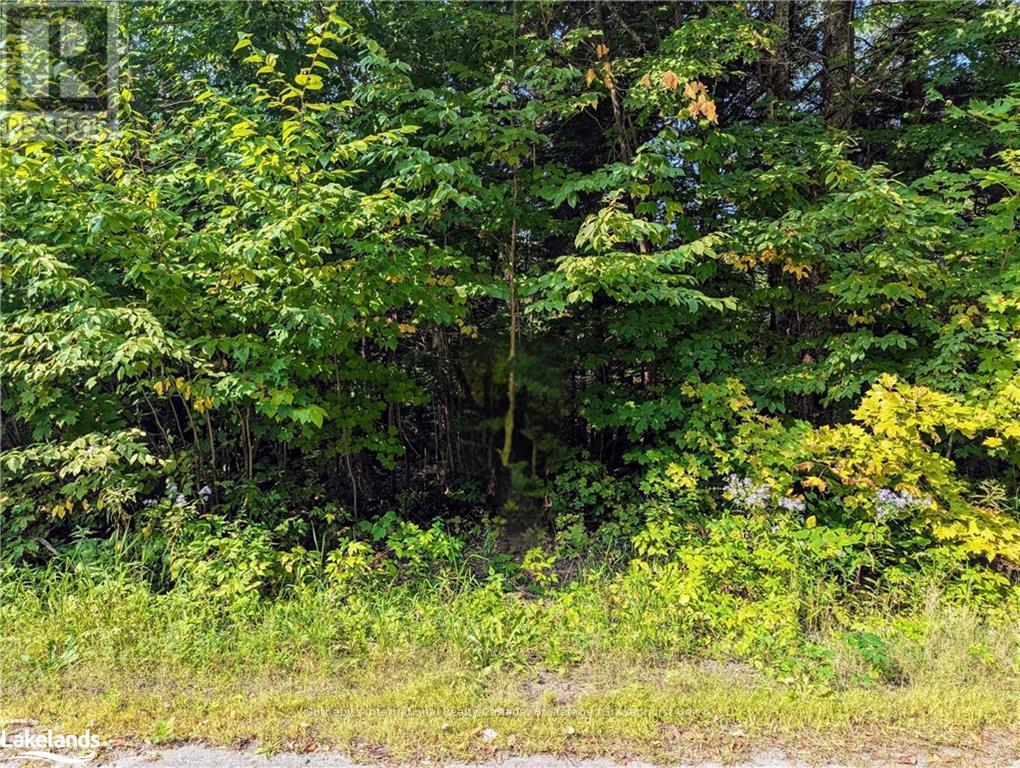 1031 Haven Road, Bracebridge, Ontario  P1L 1X1 - Photo 3 - X10895394