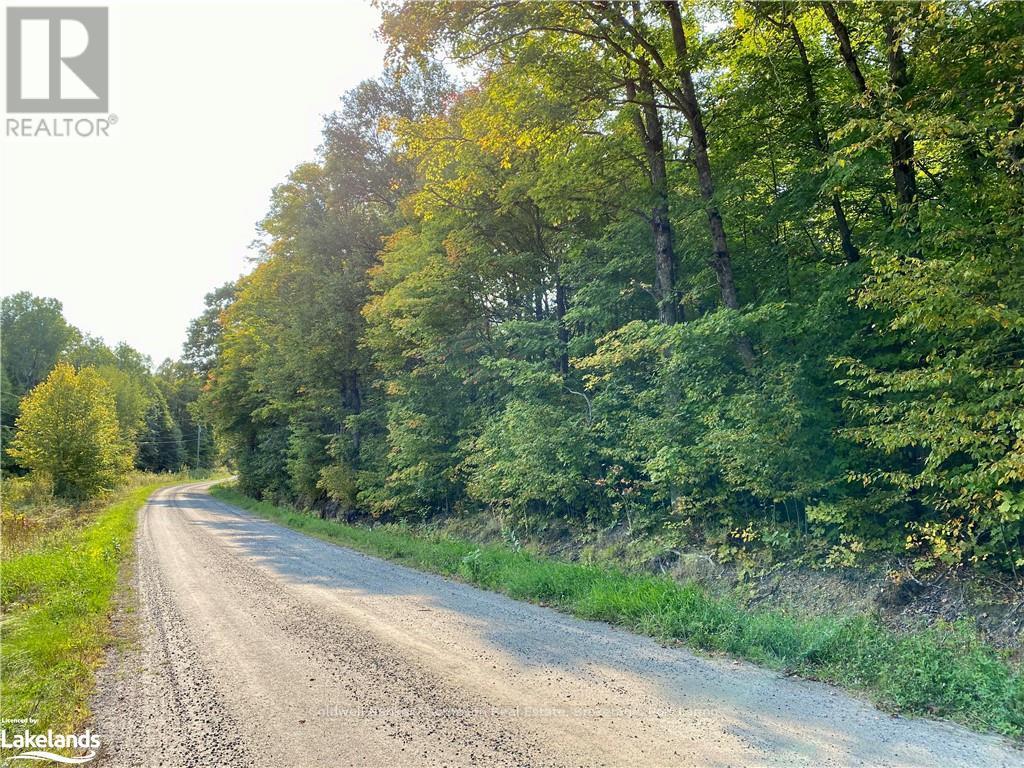 842 Seagull Lake Road, Parry Sound Remote Area, Ontario  P0H 1S0 - Photo 2 - X10895597