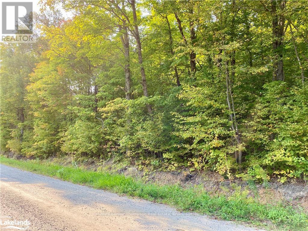 842 Seagull Lake Road, Parry Sound Remote Area, Ontario  P0H 1S0 - Photo 3 - X10895597