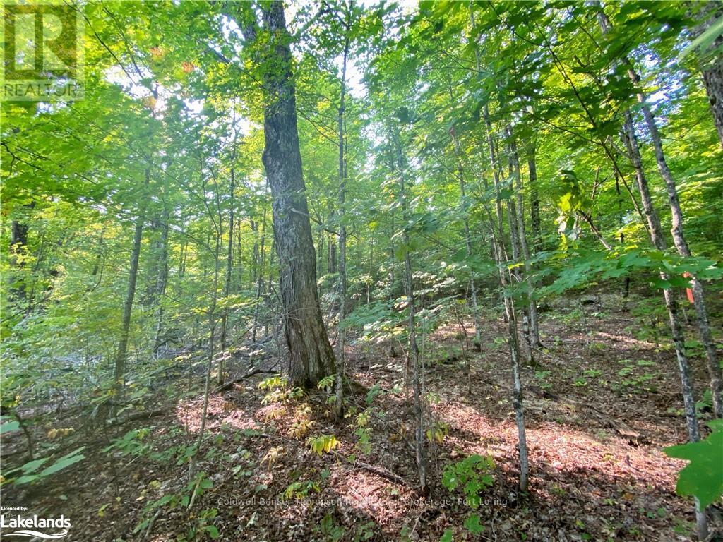 842 Seagull Lake Road, Parry Sound Remote Area, Ontario  P0H 1S0 - Photo 4 - X10895597