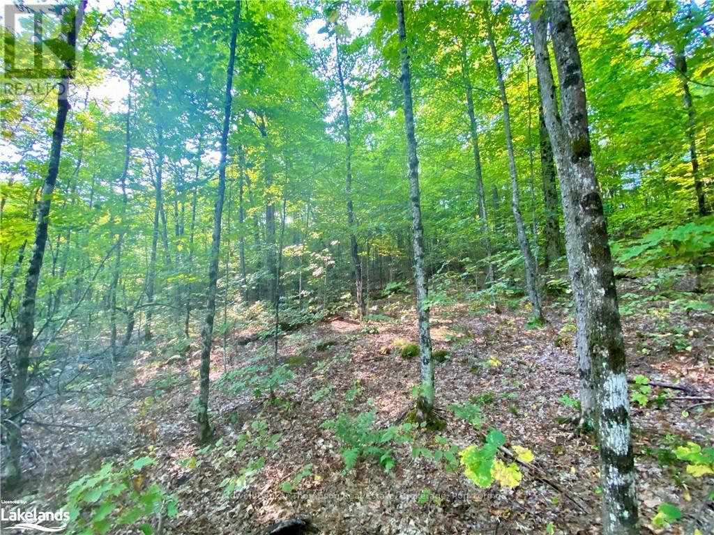 842 Seagull Lake Road, Parry Sound Remote Area, Ontario  P0H 1S0 - Photo 5 - X10895597