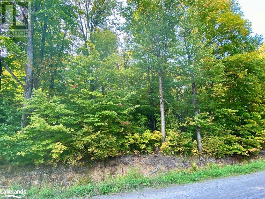 842 Seagull Lake Road, Parry Sound Remote Area, Ontario  P0H 1S0 - Photo 8 - X10895597