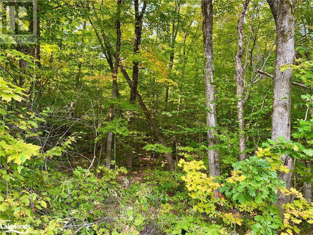 842 Seagull Lake Road, Parry Sound Remote Area, Ontario  P0H 1S0 - Photo 9 - X10895597