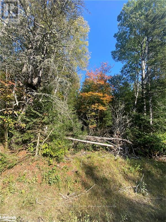 0 SO HO MISH ROAD, Perry, Ontario