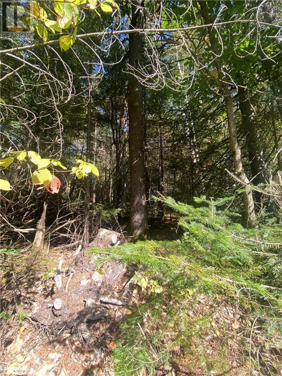 0 So Ho Mish Road, Perry, Ontario  P0A 1J0 - Photo 4 - X10896099