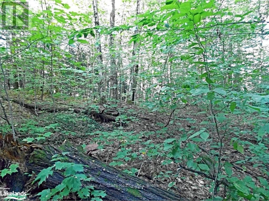 0 Angle Lake Road, Lake Of Bays, Ontario  P0A 1H0 - Photo 10 - X10438442