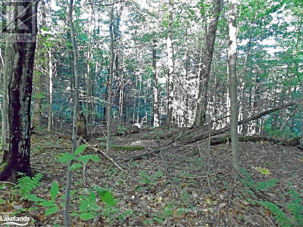 0 Angle Lake Road, Lake Of Bays, Ontario  P0A 1H0 - Photo 11 - X10438442