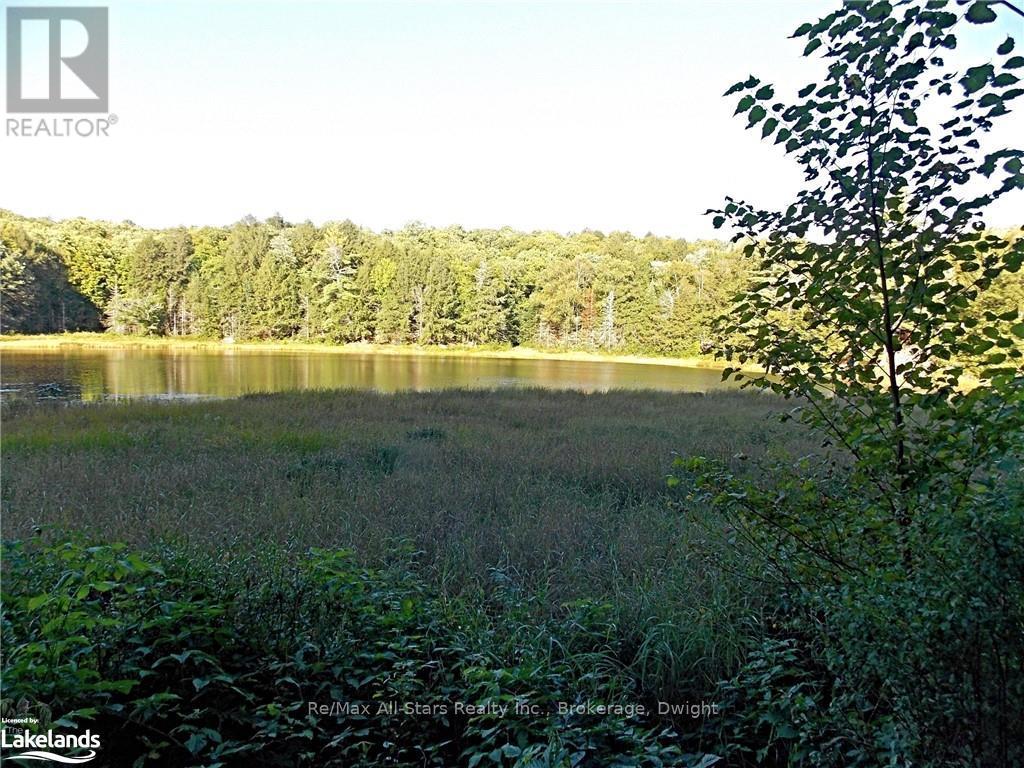 0 Angle Lake Road, Lake Of Bays, Ontario  P0A 1H0 - Photo 16 - X10438442