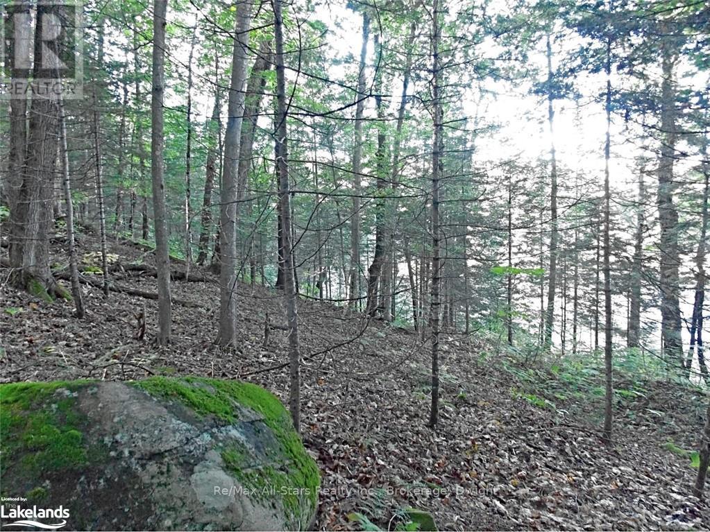 0 Angle Lake Road, Lake Of Bays, Ontario  P0A 1H0 - Photo 19 - X10438442