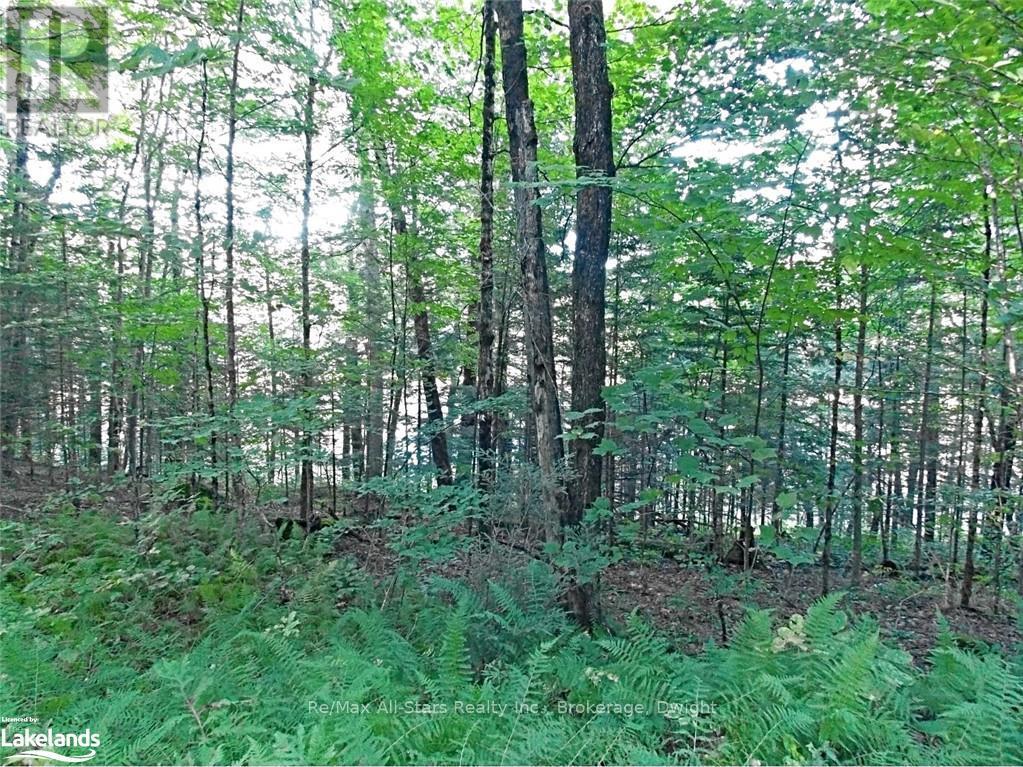 0 Angle Lake Road, Lake Of Bays, Ontario  P0A 1H0 - Photo 20 - X10438442