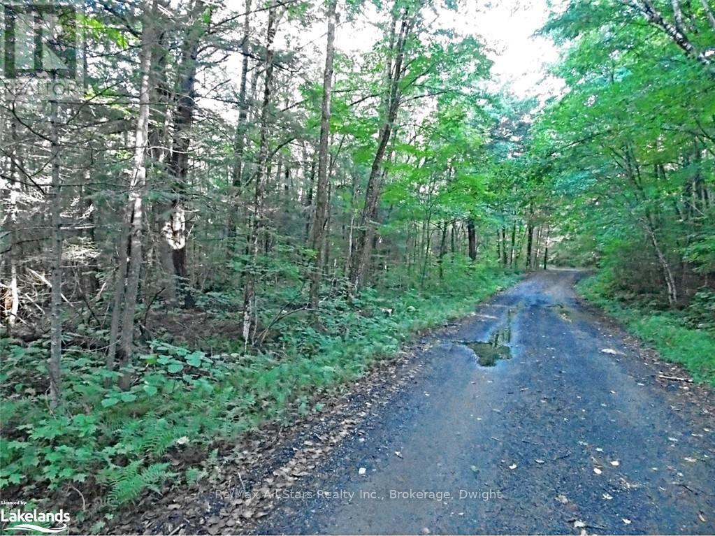 0 Angle Lake Road, Lake Of Bays, Ontario  P0A 1H0 - Photo 5 - X10438442