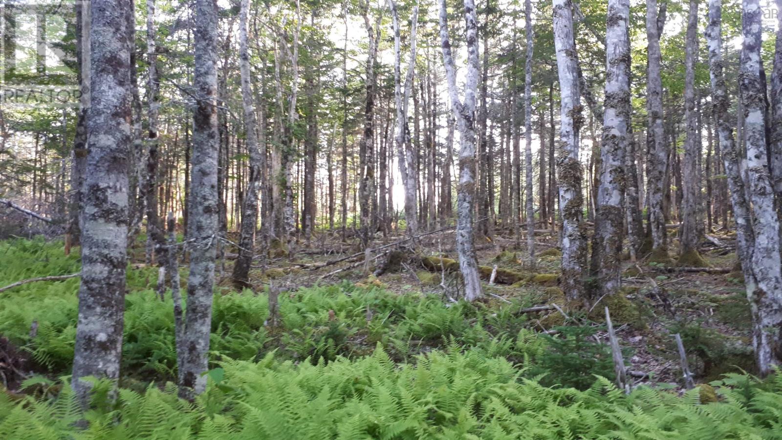 Lot 1a-79 Maple Dr, French Cove, Nova Scotia  B0E 3B0 - Photo 12 - 202424540