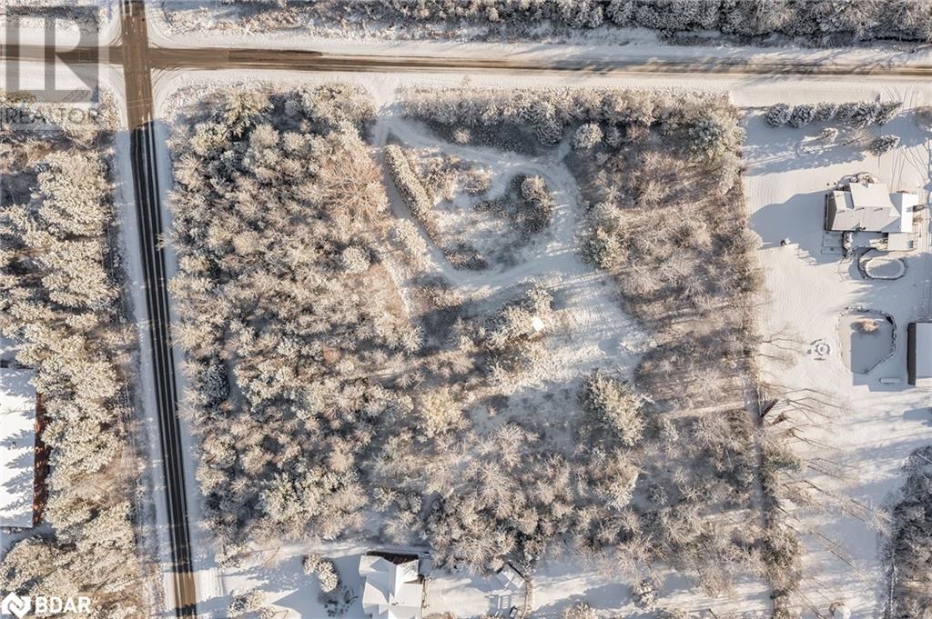 8018 8th Line, Utopia, Ontario  L0M 1T0 - Photo 4 - 40682371