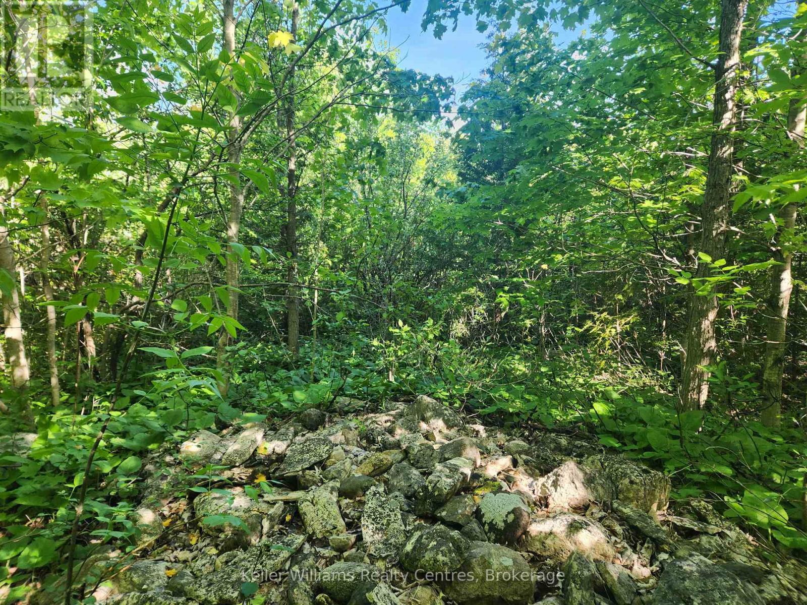 Lt Pt 40 Con 8 Bartley Drive, Northern Bruce Peninsula, Ontario  N0H 1Z0 - Photo 6 - X11880762