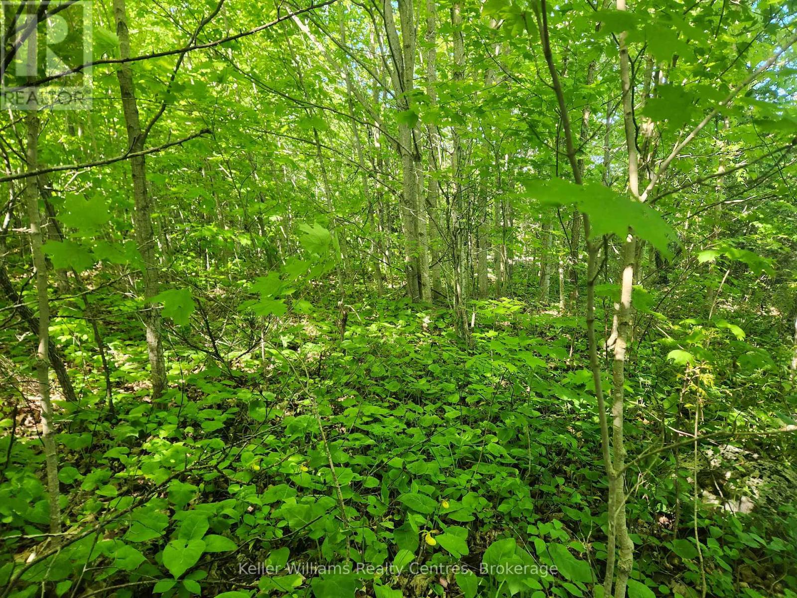 Lt Pt 40 Con 8 Bartley Drive, Northern Bruce Peninsula, Ontario  N0H 1Z0 - Photo 7 - X11880762