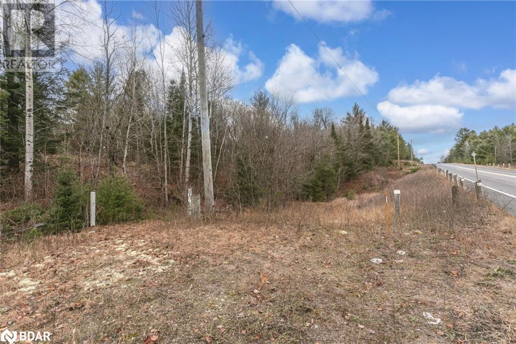 0 County Road 121, Minden, Ontario  K0M 2A1 - Photo 3 - 40682085