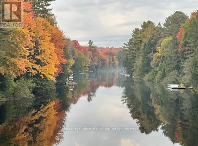 350 Balsam Chutes Road, Huntsville, Ontario  P0B 1L0 - Photo 21 - X11881330