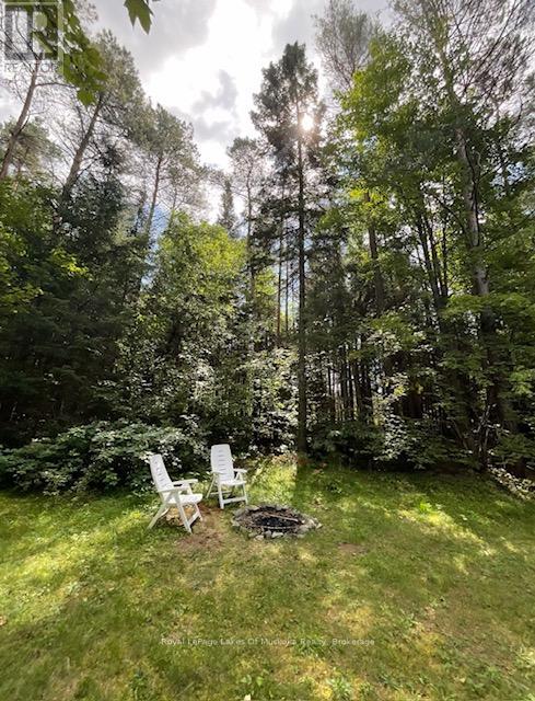 350 Balsam Chutes Road, Huntsville, Ontario  P0B 1L0 - Photo 23 - X11881330