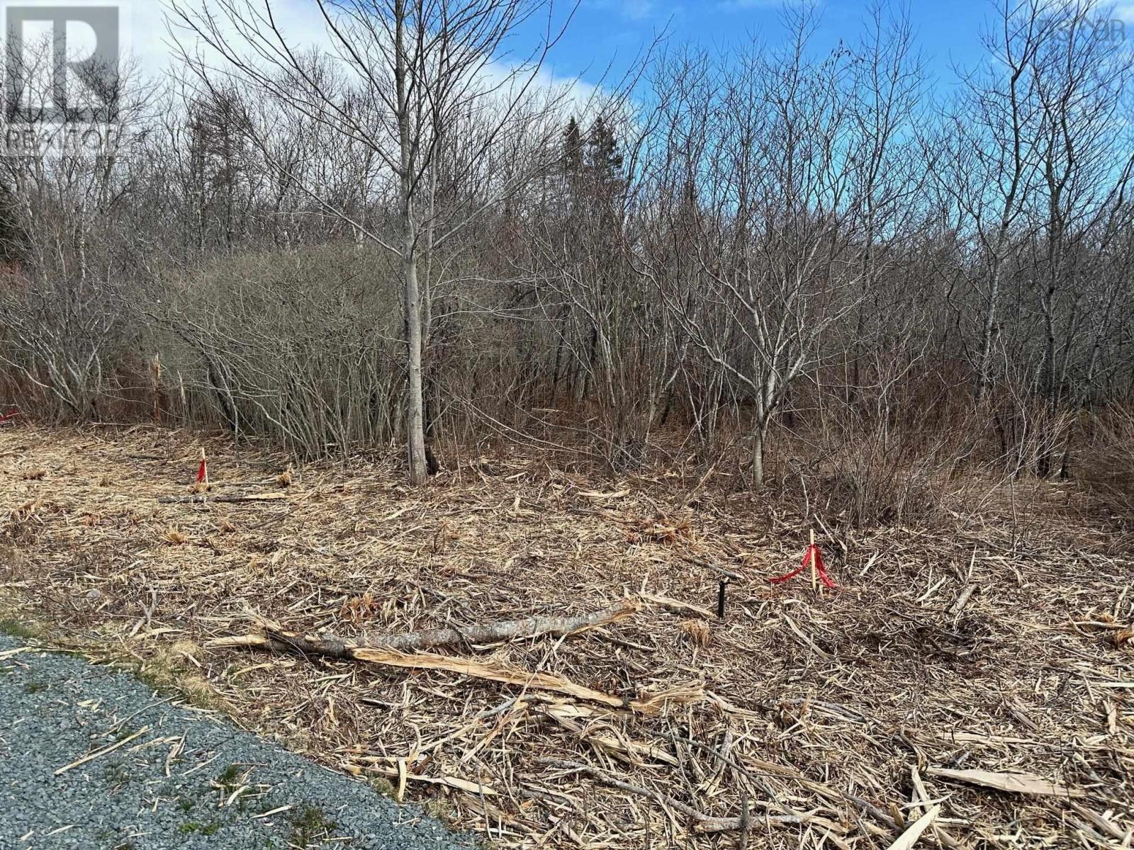 Lot 4 Shore Road, Western Head, Nova Scotia  B0T 1K0 - Photo 2 - 202427696