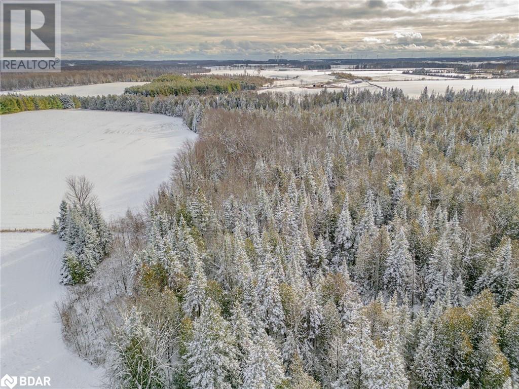9678 67 Sideroad Sideroad, Creemore, Ontario  L0M 1G0 - Photo 10 - 40683422