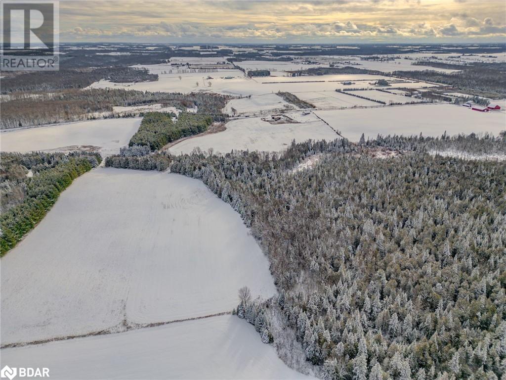 9678 67 Sideroad Sideroad, Creemore, Ontario  L0M 1G0 - Photo 8 - 40683422