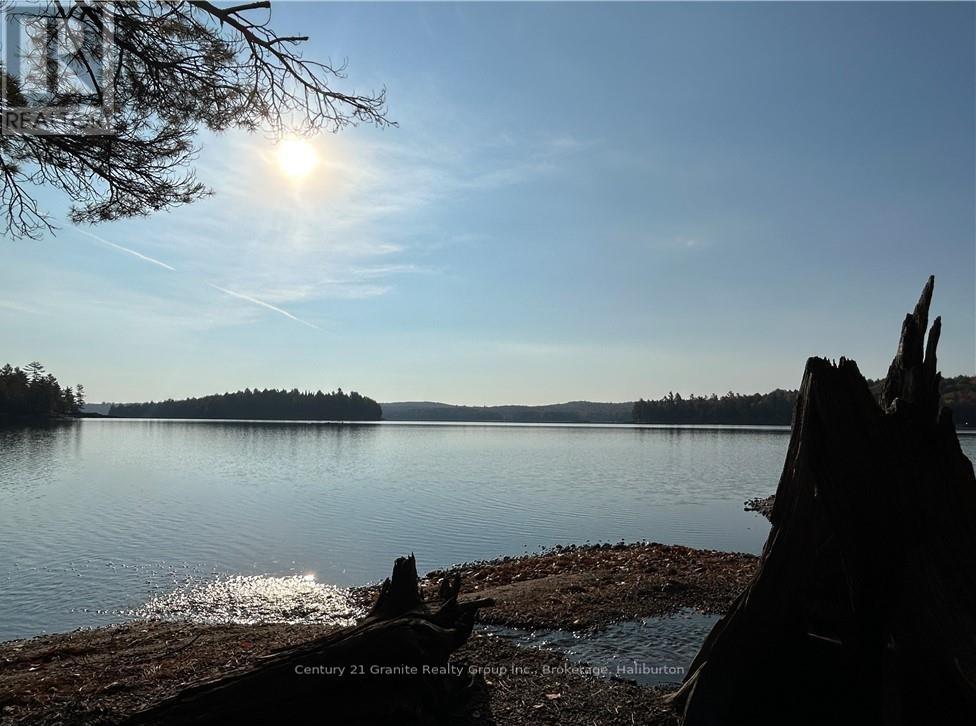 0 Kennisis Lake Road, Dysart Et Al, Ontario  K0M 1S0 - Photo 1 - X10437571