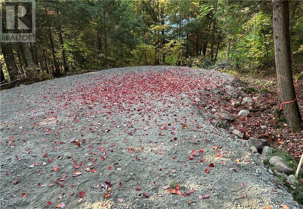 0 Kennisis Lake Road, Dysart Et Al, Ontario  K0M 1S0 - Photo 11 - X10437571